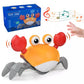 Kids Induction Escape Crab - Bébé et allaitement